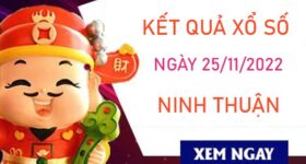 Dự đoán XSNT 25/11/2022 phân tích cầu VIP Ninh Thuận