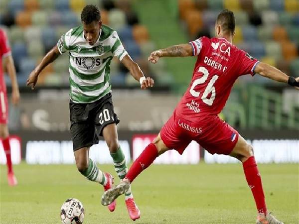 Dự đoán Sporting Lisbon vs Gil Vicente (3h15 ngày 5/12)