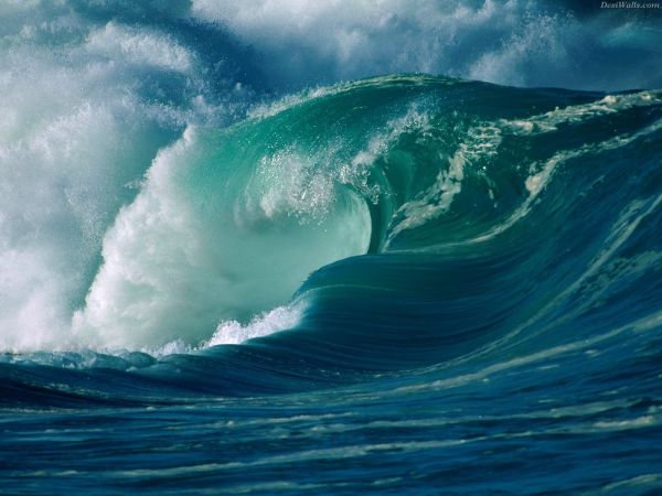 Nằm mơ thấy sóng biển đánh con gì may mắn có ý nghĩa gì