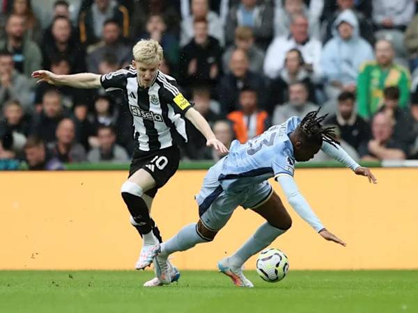 Thông tin lực lượng và đội hình Newcastle vs Tottenham