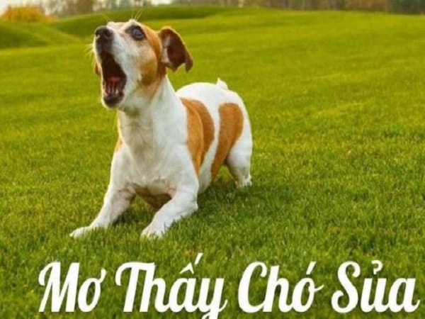 Nằm mơ thấy chó sủa là điềm gì?